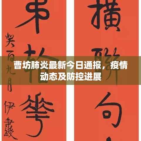 曹坊肺炎最新今日通报,疫情动态及防控进展