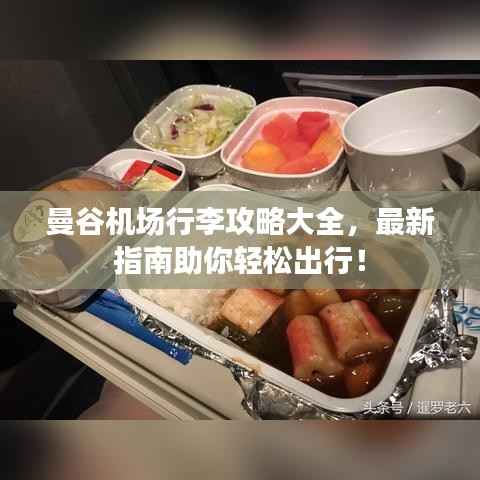 林下风范 第6页