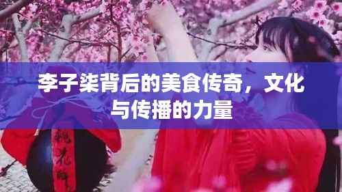 李子柒背后的美食传奇，文化与传播的力量