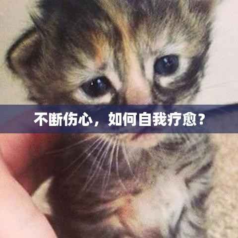 不断伤心,如何自我疗愈?