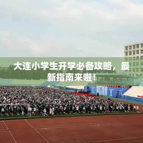 大连小学生开学必备攻略,最新指南来啦!