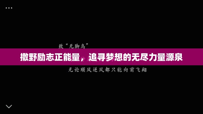 撒野励志正能量,追寻梦想的无尽力量源泉