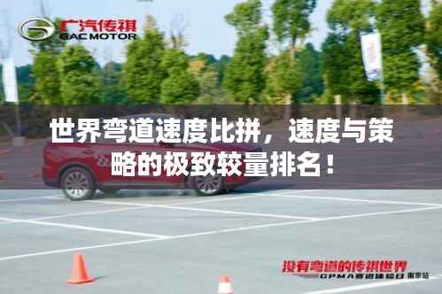 世界弯道速度比拼,速度与策略的极致较量排名!