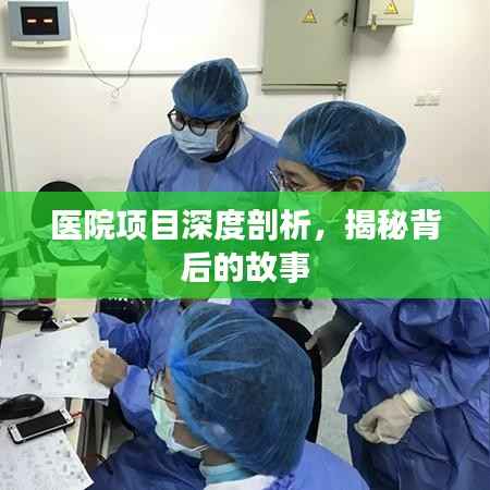 医院项目深度剖析,揭秘背后的故事