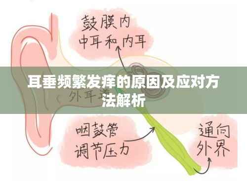 耳垂频繁发痒的原因及应对方法解析