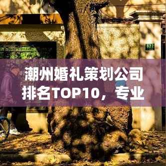 潮州婚礼策划公司排名TOP10,专业打造浪漫瞬间