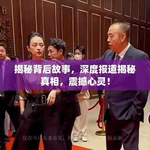 揭秘背后故事,深度报道揭秘真相,震撼心灵!