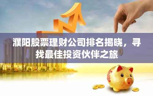 濮阳股票理财公司排名揭晓，寻找最佳投资伙伴之旅