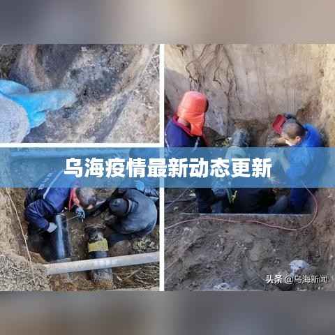 乌海疫情最新动态更新