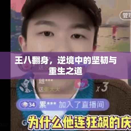 王八翻身,逆境中的坚韧与重生之道