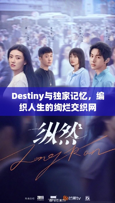 Destiny与独家记忆,编织人生的绚烂交织网