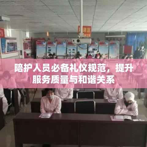 陪护人员必备礼仪规范,提升服务质量与和谐关系