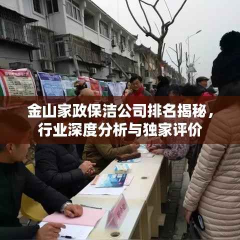 金山家政保洁公司排名揭秘,行业深度分析与独家评价