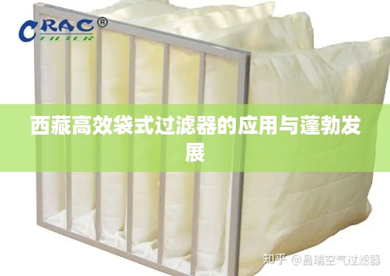 西藏高效袋式过滤器的应用与蓬勃发展
