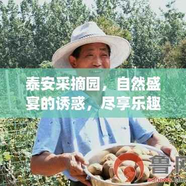 泰安采摘园,自然盛宴的诱惑,尽享乐趣的绝佳去处!百度带你领略采摘魅力