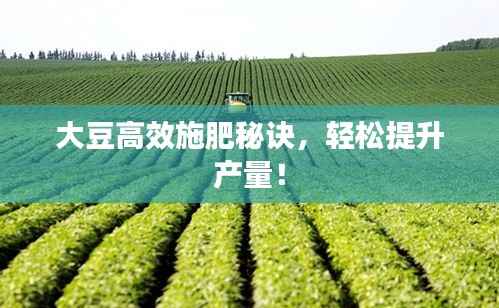 大豆高效施肥秘诀,轻松提升产量!