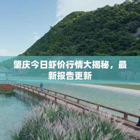 肇庆今日虾价行情大揭秘,最新报告更新