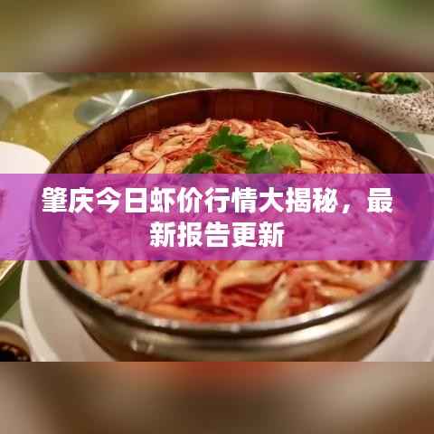 肇庆今日虾价行情大揭秘,最新报告更新