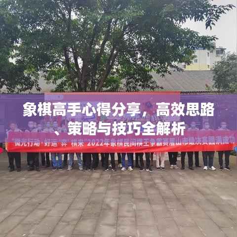 象棋高手心得分享,高效思路、策略与技巧全解析