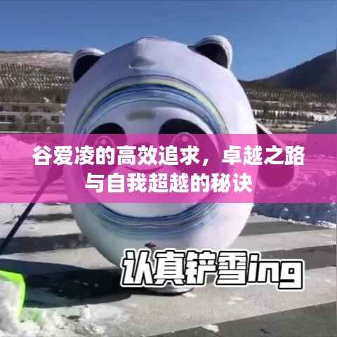 谷爱凌的高效追求,卓越之路与自我超越的秘诀