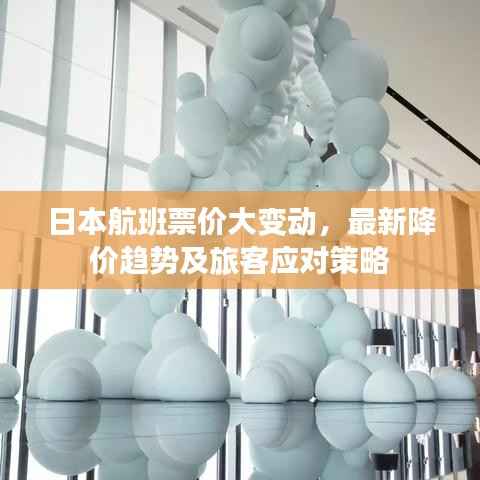 日本航班票价大变动,最新降价趋势及旅客应对策略