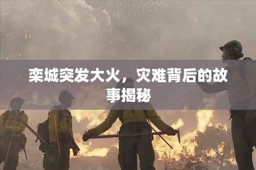 栾城突发大火,灾难背后的故事揭秘