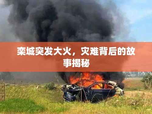 栾城突发大火,灾难背后的故事揭秘