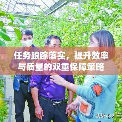 任务跟踪落实,提升效率与质量的双重保障策略