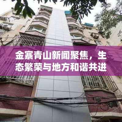 金寨青山新闻聚焦,生态繁荣与地方和谐共进,共绘发展新篇章