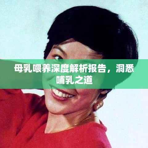 母乳喂养深度解析报告,洞悉哺乳之道