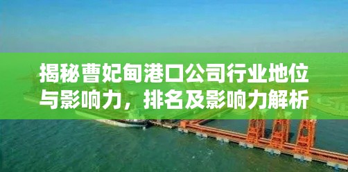 揭秘曹妃甸港口公司行业地位与影响力,排名及影响力解析