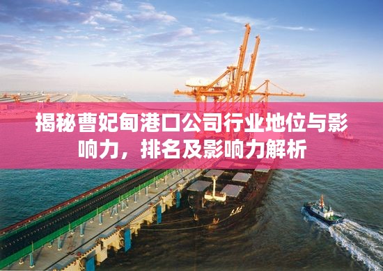 揭秘曹妃甸港口公司行业地位与影响力,排名及影响力解析