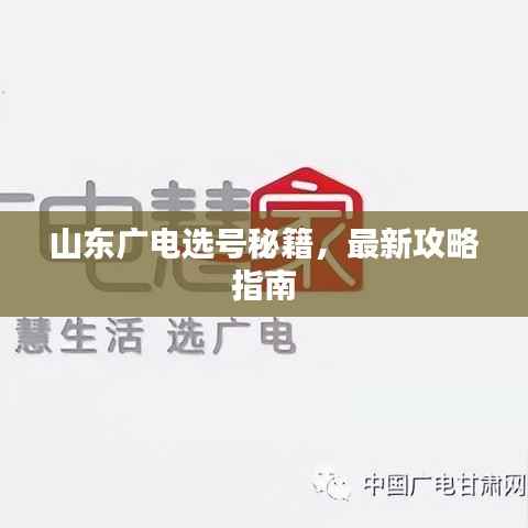 山东广电选号秘籍，最新攻略指南