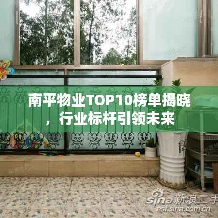 南平物业TOP10榜单揭晓,行业标杆引领未来