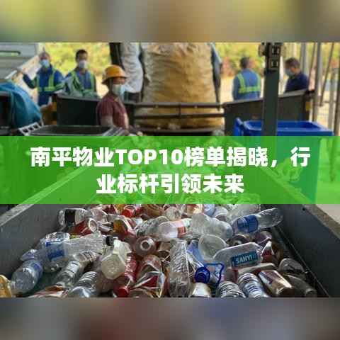 南平物业TOP10榜单揭晓，行业标杆引领未来