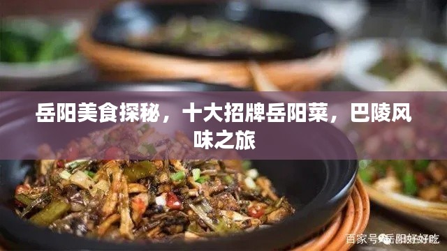 岳阳美食探秘,十大招牌岳阳菜,巴陵风味之旅