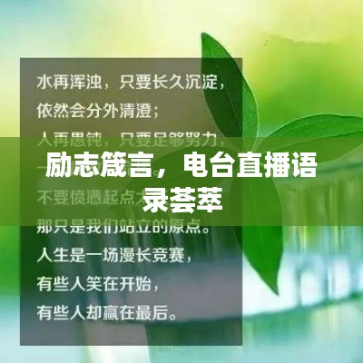 励志箴言,电台直播语录荟萃