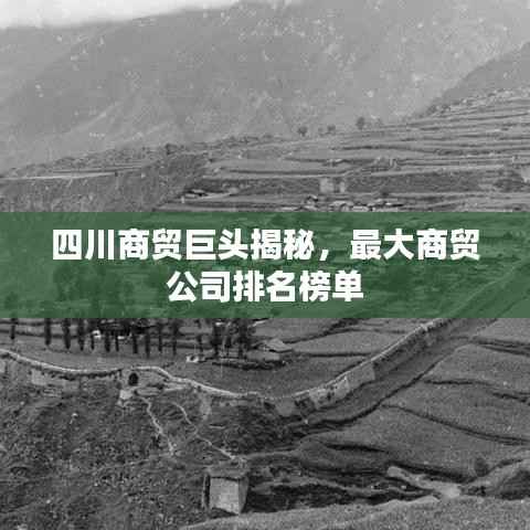 四川商贸巨头揭秘,最大商贸公司排名榜单