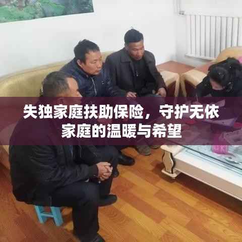 失独家庭扶助保险,守护无依家庭的温暖与希望