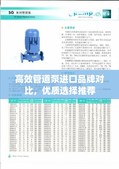 一石二鸟 第4页