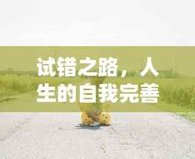 试错之路,人生的自我完善与必经之路
