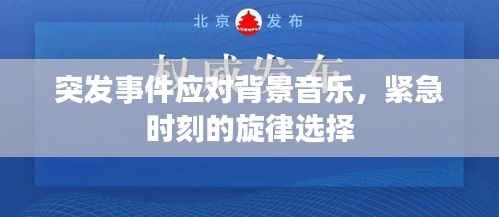 突发事件应对背景音乐,紧急时刻的旋律选择