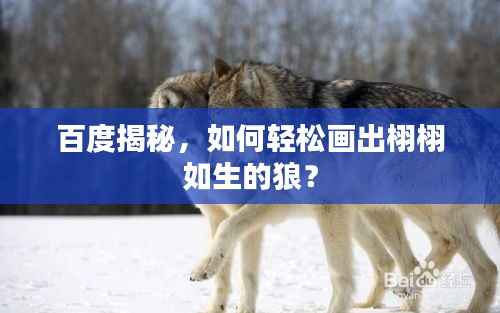 百度揭秘,如何轻松画出栩栩如生的狼?