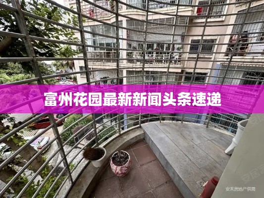 富州花园最新新闻头条速递