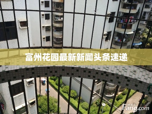 富州花园最新新闻头条速递