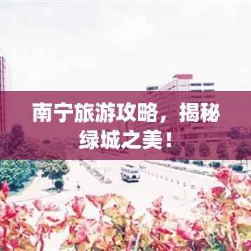 南宁旅游攻略,揭秘绿城之美!