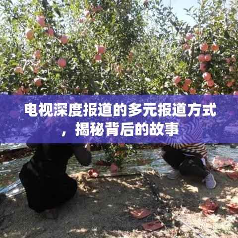 电视深度报道的多元报道方式,揭秘背后的故事