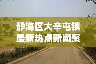 静海区大辛屯镇最新热点新闻聚焦