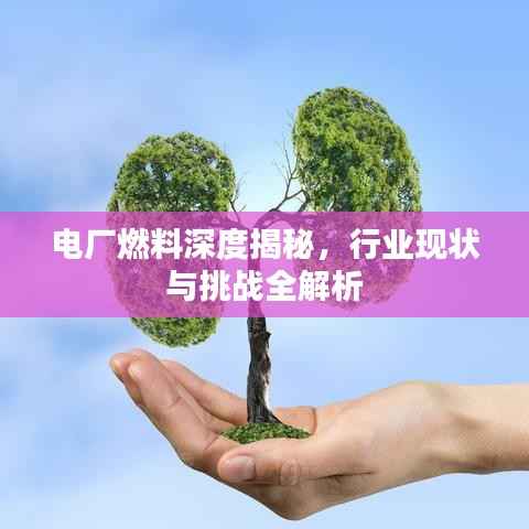 电厂燃料深度揭秘,行业现状与挑战全解析