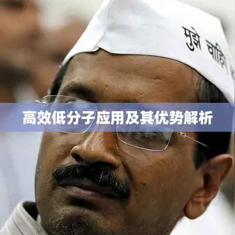 高效低分子应用及其优势解析